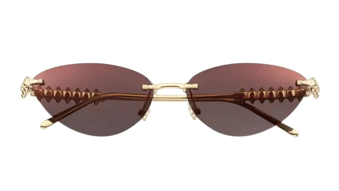 Ct Sunglasses Gold – Brown Lenses
