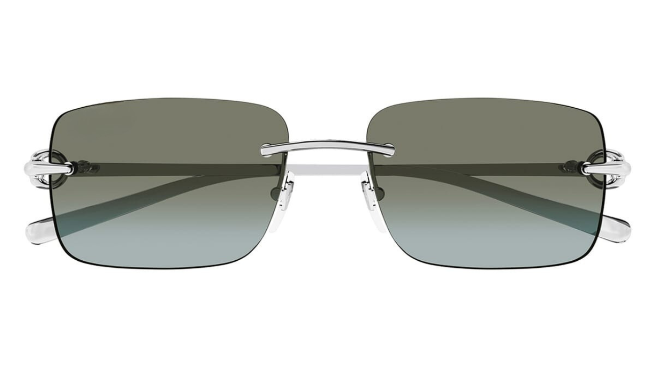 Gg Shiny Silver · Brown to Grey Lenses